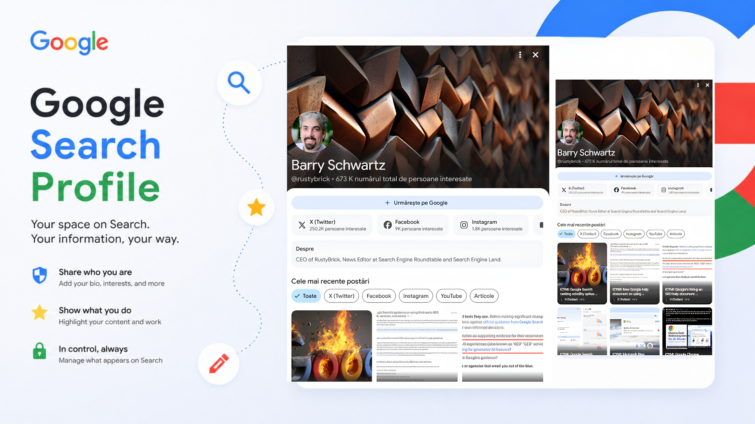 Nicoleta Marketing - Google Search Profile Ghid Complet 2026